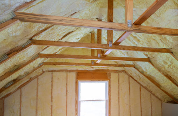 Best Insulation Replacement Services  in USA